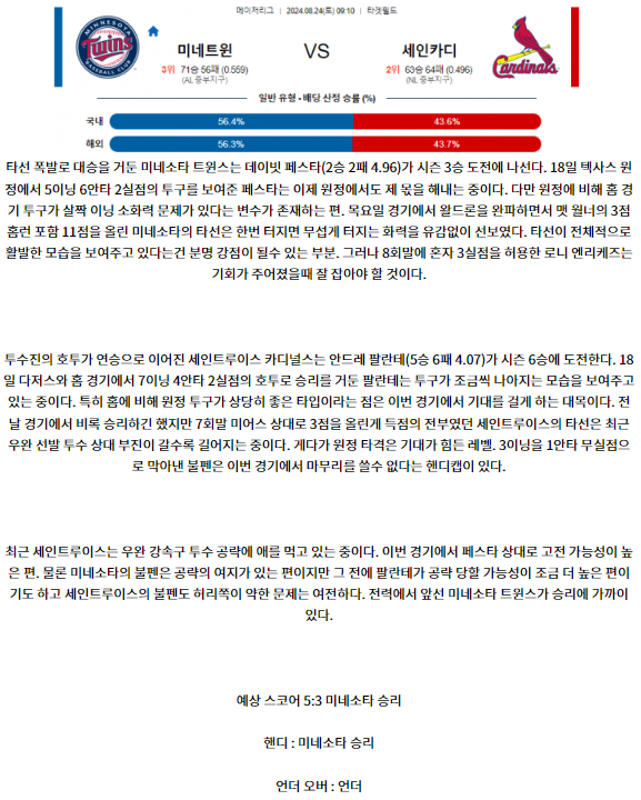 미네소타 세인트루이스.png