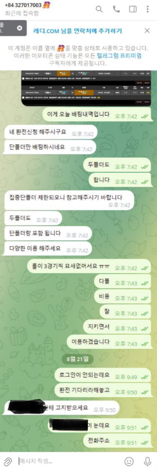 레디1.png