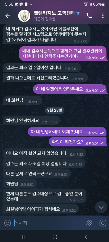 헬렌카지노1.png