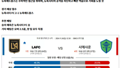 11월 24일 MLS 2경기