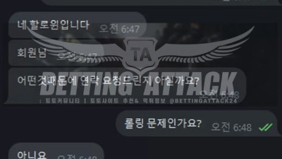 할로윈 먹튀 확정