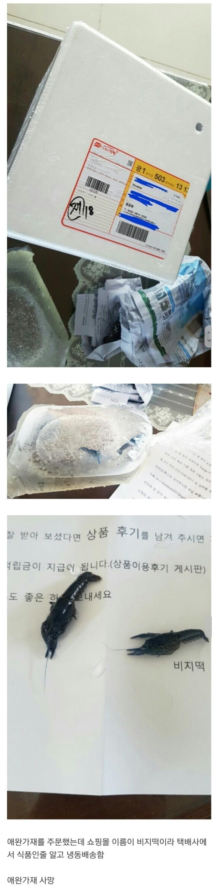 전설의 애완가재 배송.png