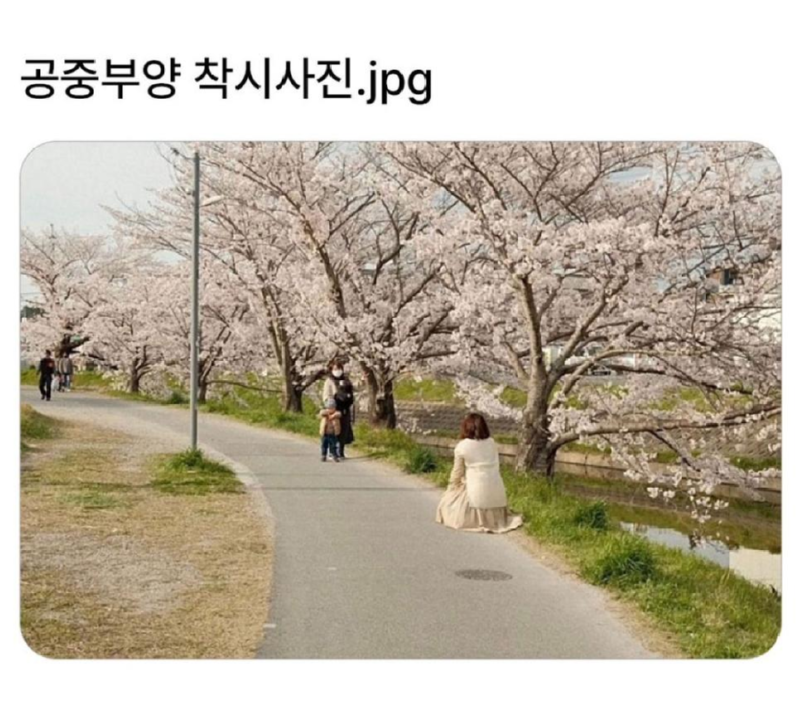 공중부양 착시 사진.png