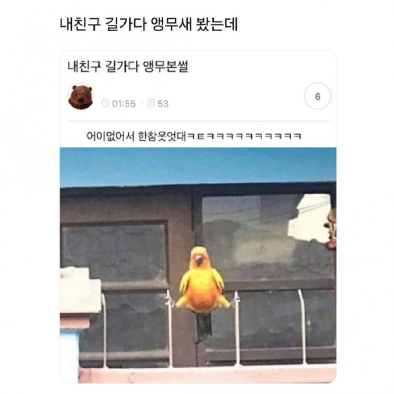 내친구 길가다 앵무새 봤는데.jpg