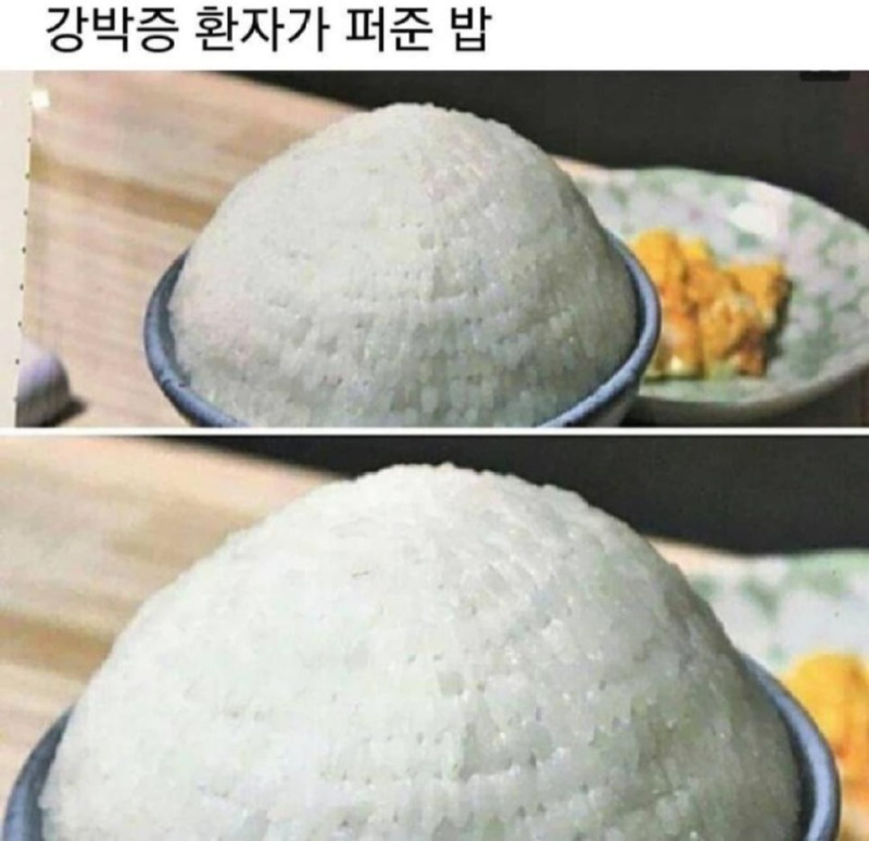 강박증환자가 퍼준 밥.jpg