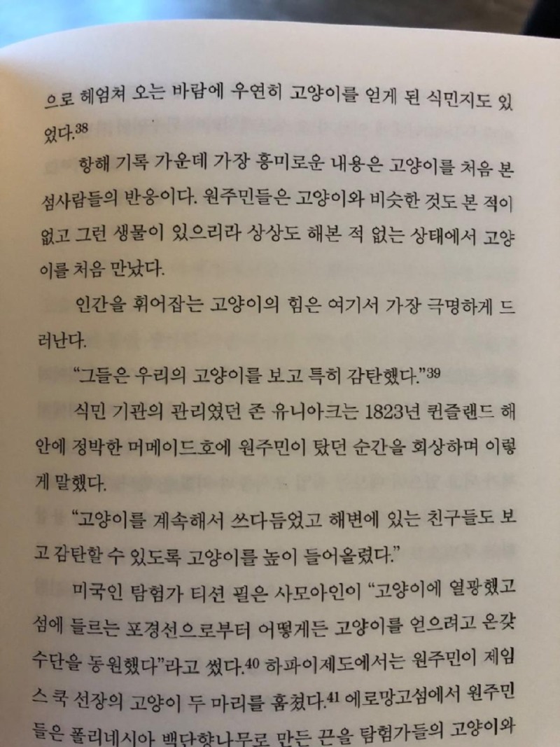 고양이를 생전 처음보는 오지 원주민들의 반응.jpg