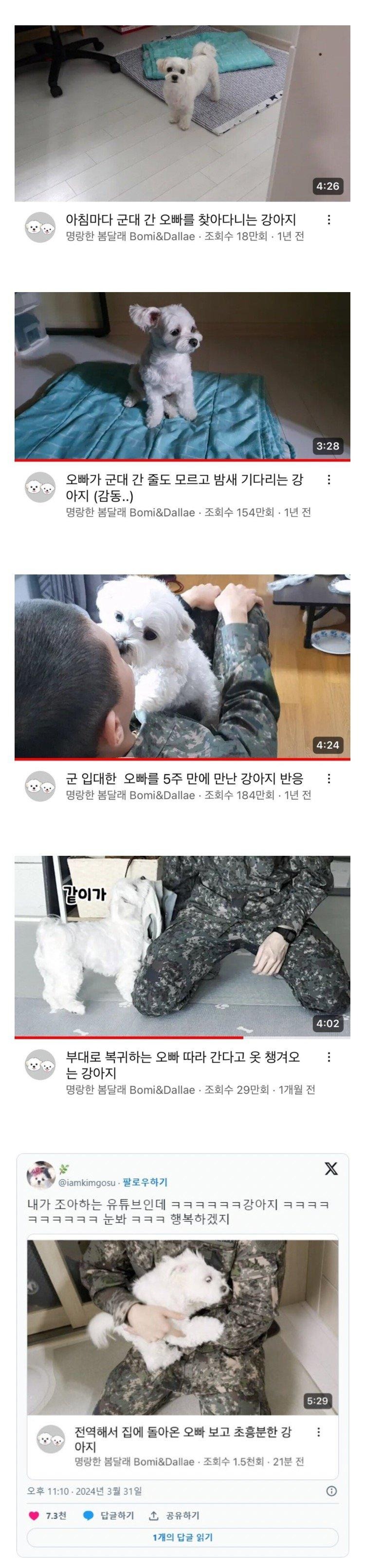 매일 군대간 주인 기다리던 강아지, 전역하던 날.jpg