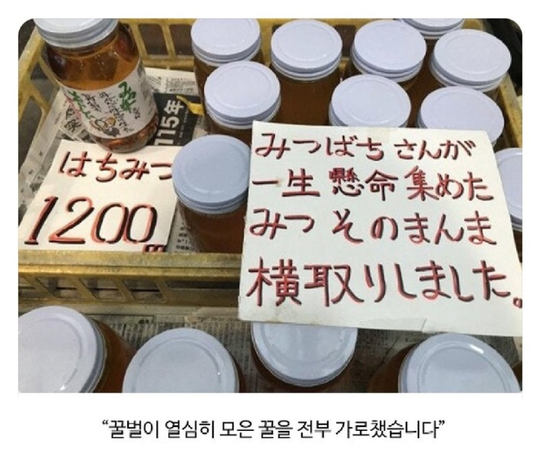 맞는말인데 왠지 너무한거.jpg