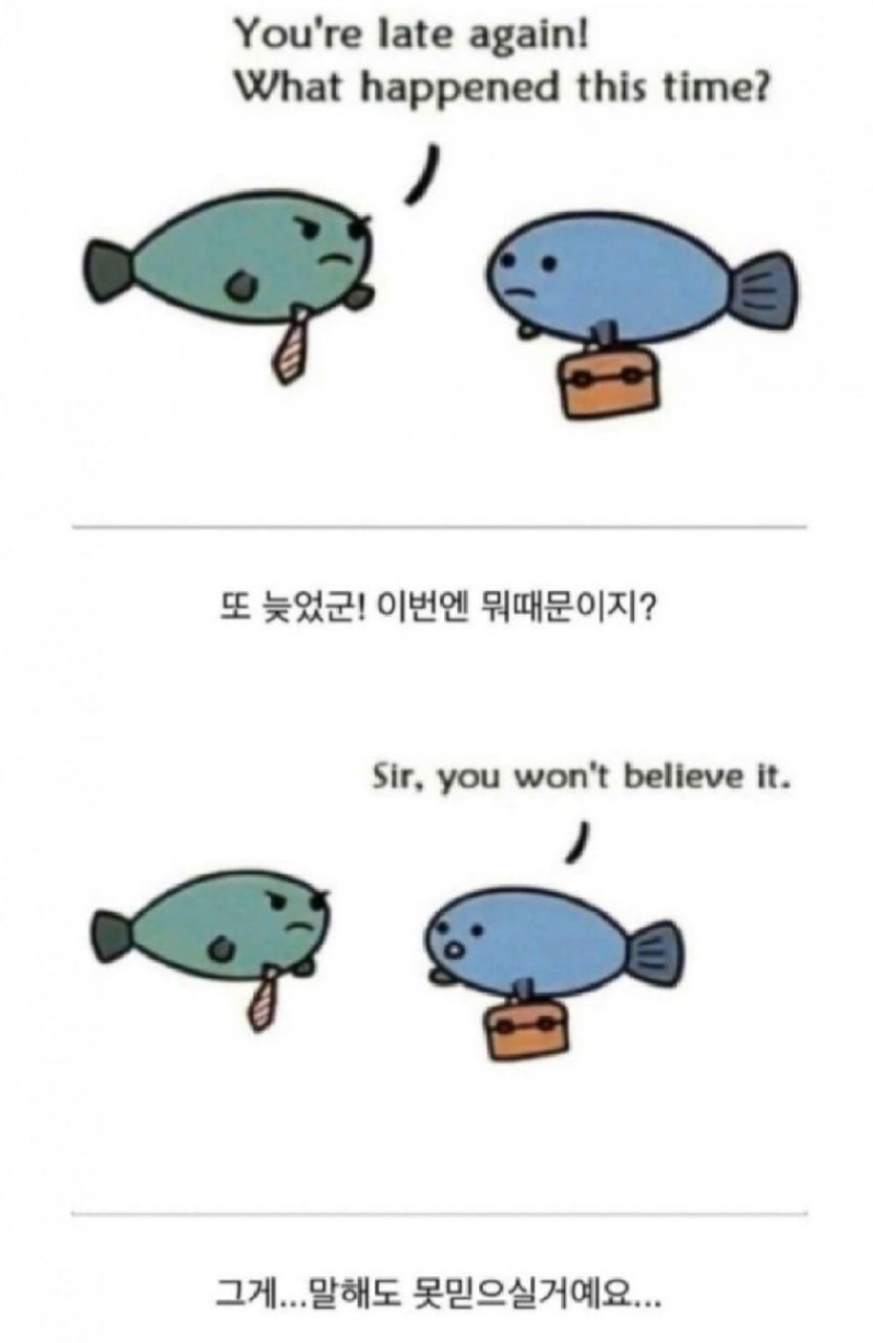 물고기가 지각한 이유.jpg