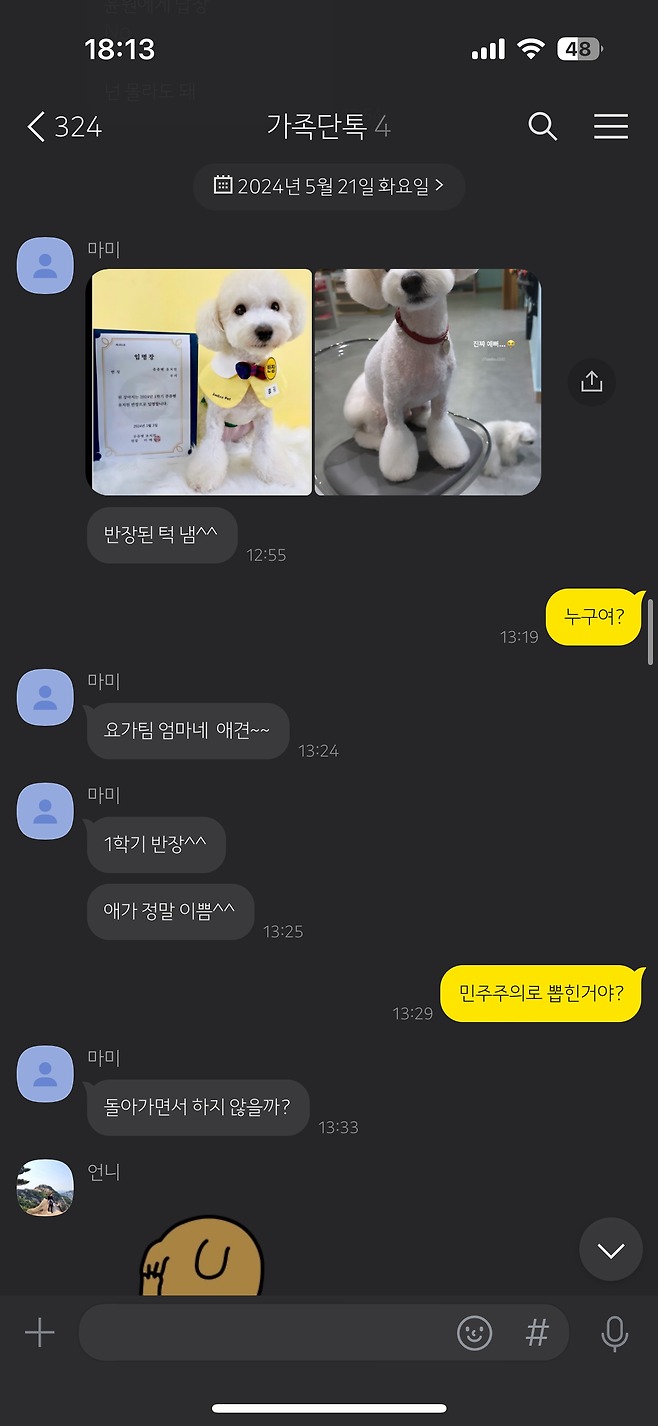 강아지 유치원 반장선거 근황.jpg