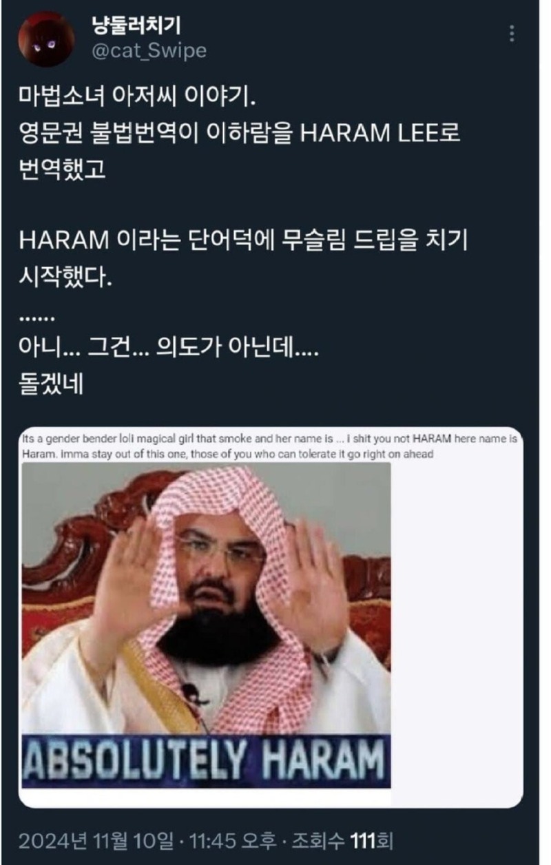 서양 불법번역으로 고통받는 작가.jpg