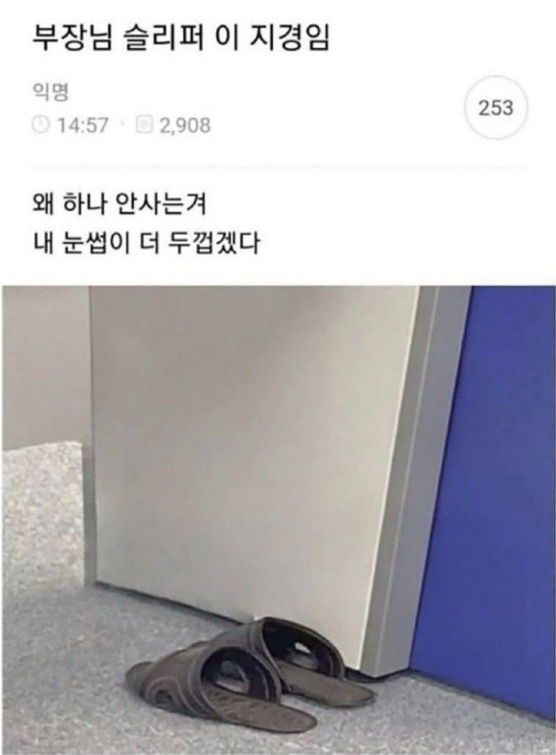 부장님 슬리퍼 이 지경임.jpg