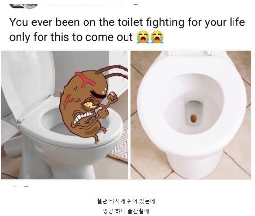 똥.JPG