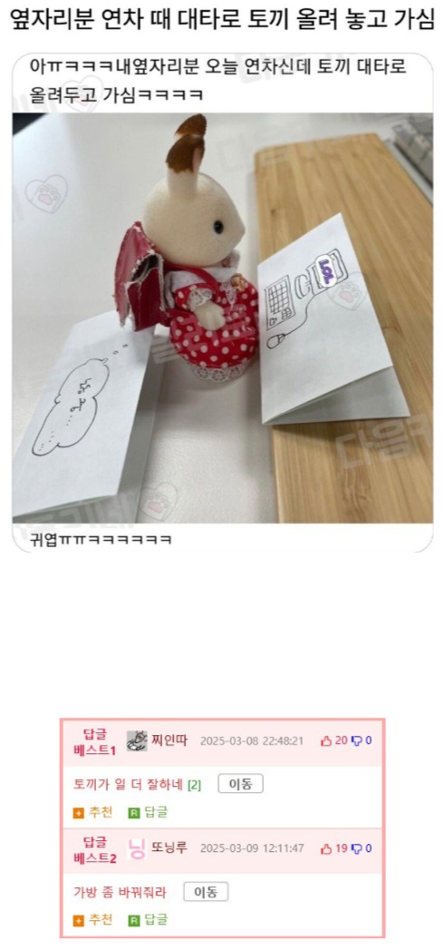 옆자리분 연차 때 대타로 토끼 올려 놓고 가심.jpg