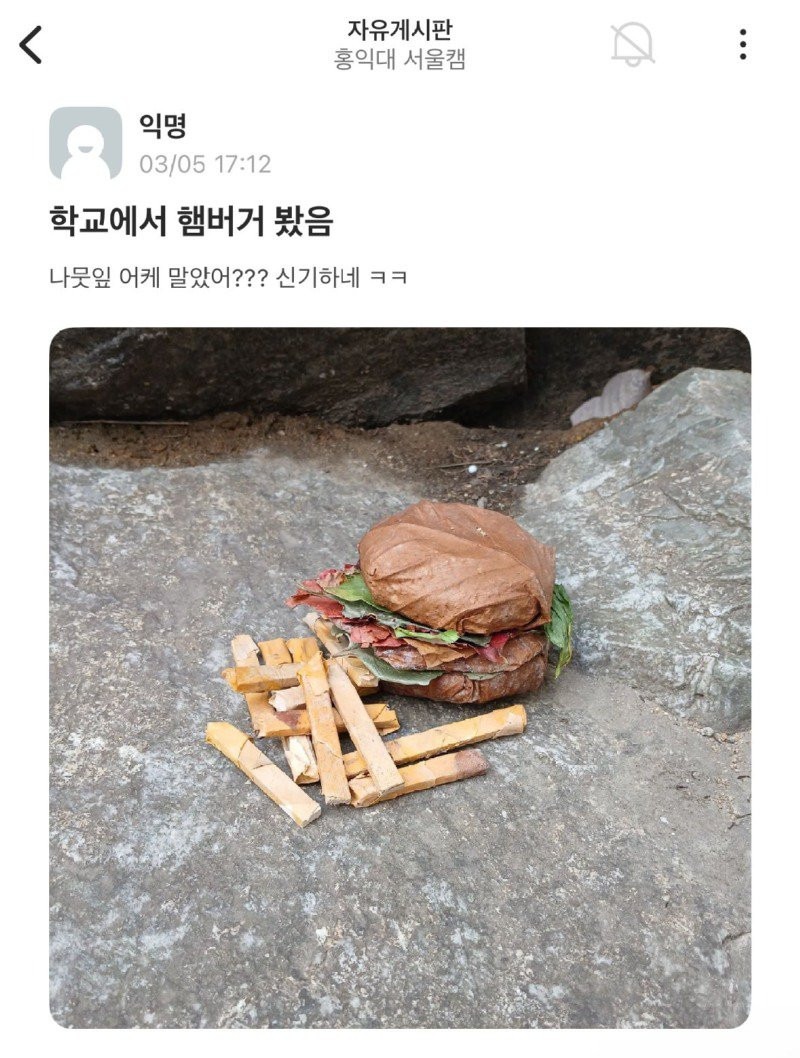 에타에 올라온 나뭇잎 버거.jpg