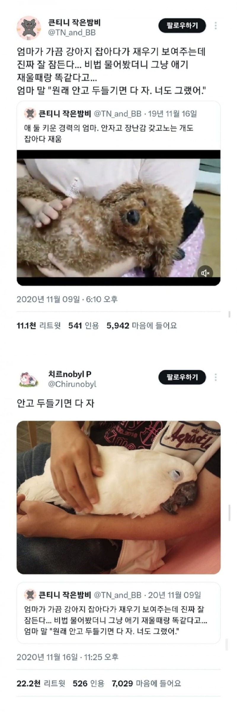 원래 안고 두들기면 다.jpg