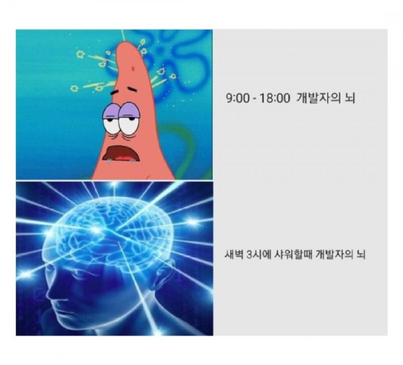 개발자 뇌 특징.jpg