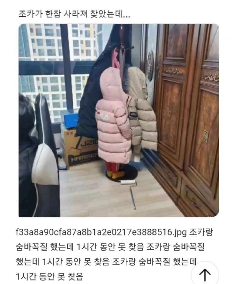 조카랑 숨바꼭질 했는데 1시간 동안 못 찾음.png