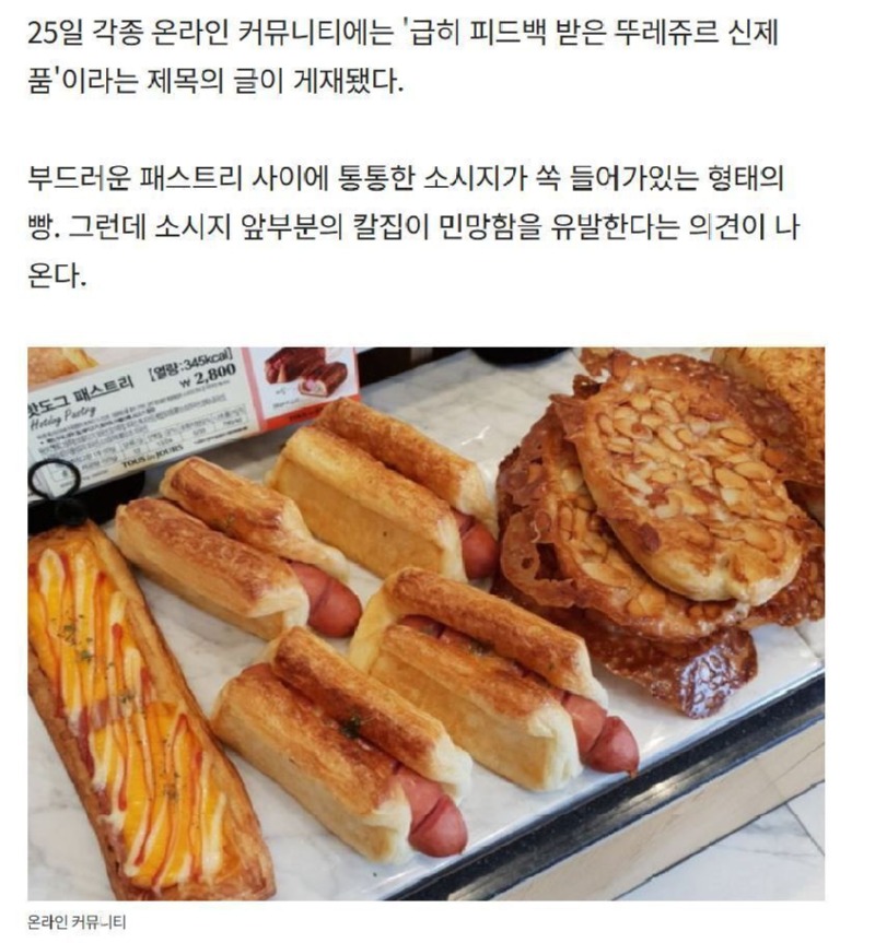 KakaoTalk_20250415_191727362_09.jpg