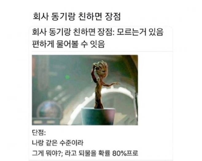 KakaoTalk_20250415_191727362_06.jpg