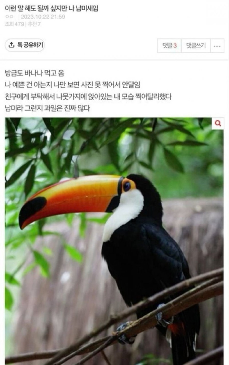 이런 말 해도 될까 싶지만 나 남미새임.jpg