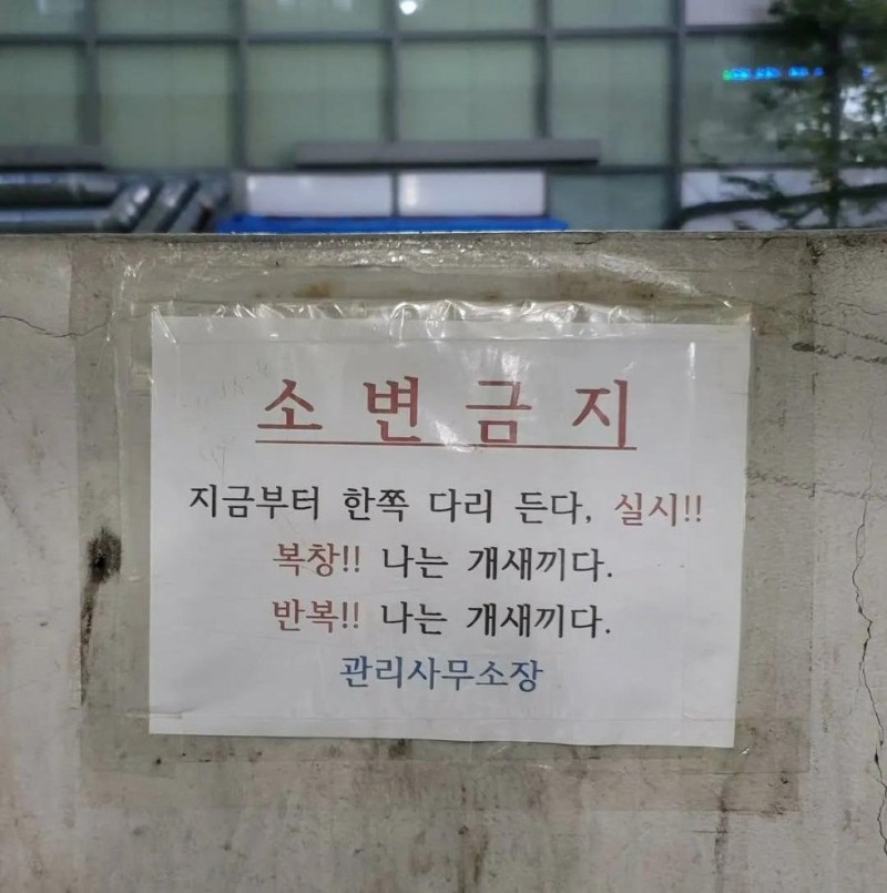 강아지 소환술.jpg