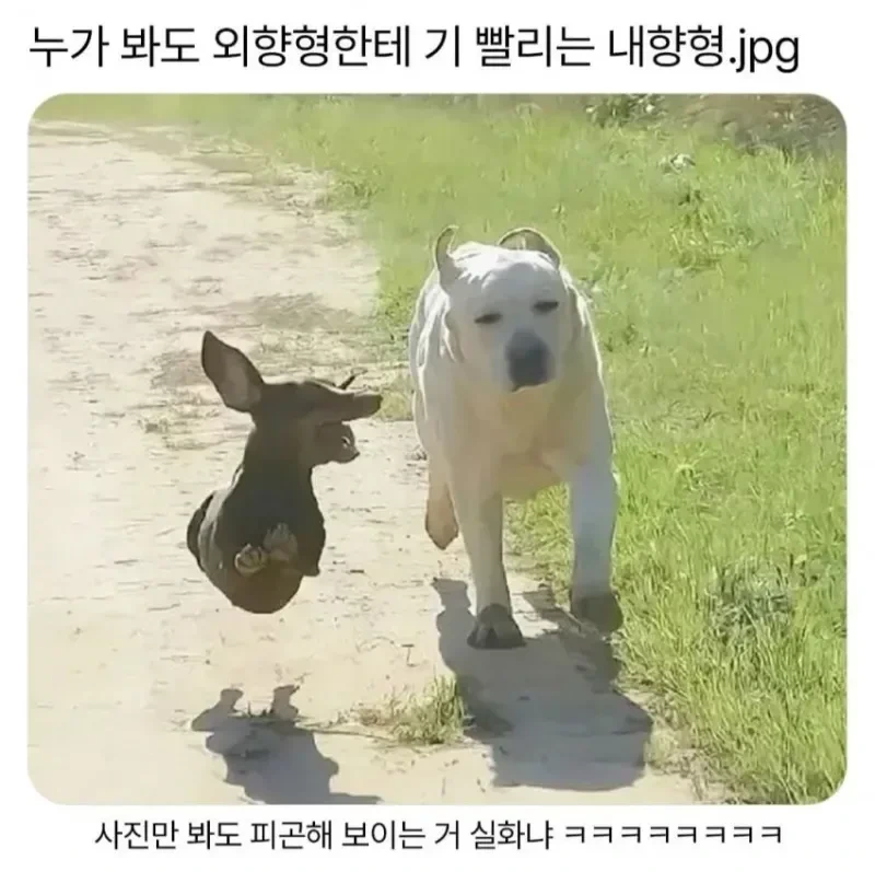 E에 기빨리는 I.webp