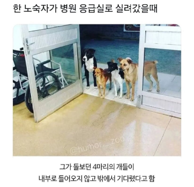 한 노숙자가 병원 응급실로 실려왔는데.png