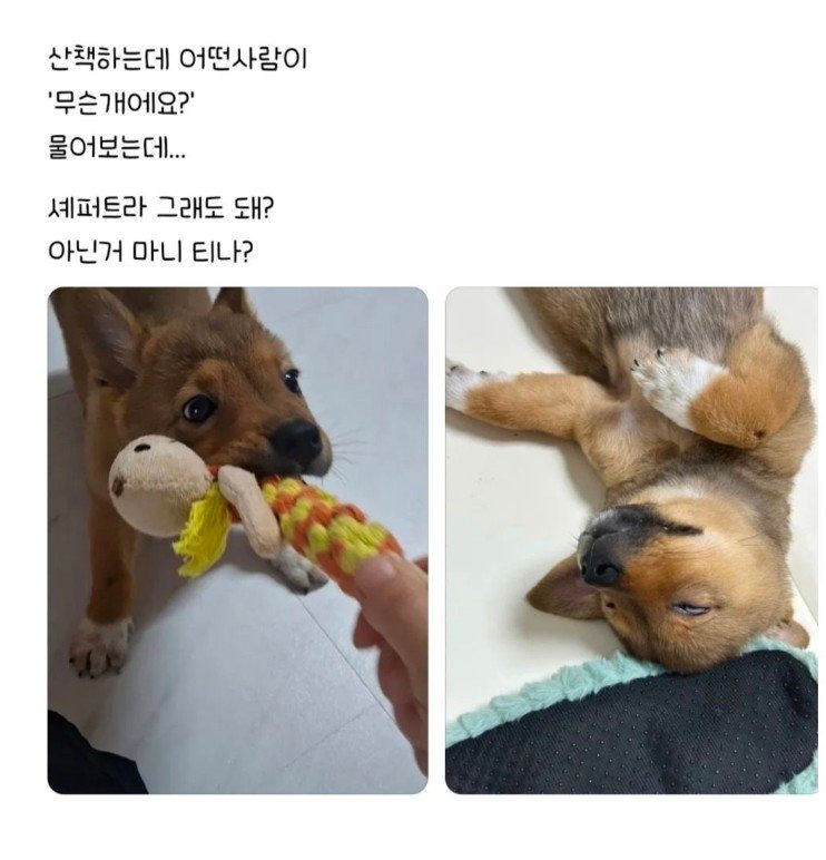 편견없는 대한민국.jpg