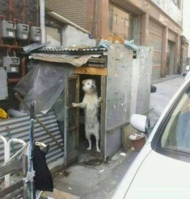 아저씨! 여기 주차하면 안돼요.jpg