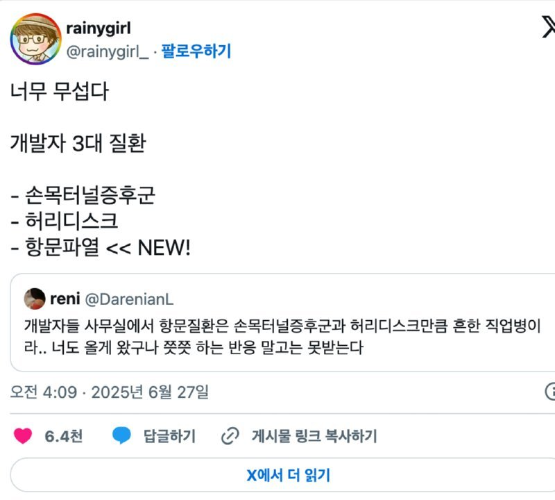 개발자 3대 질환.png