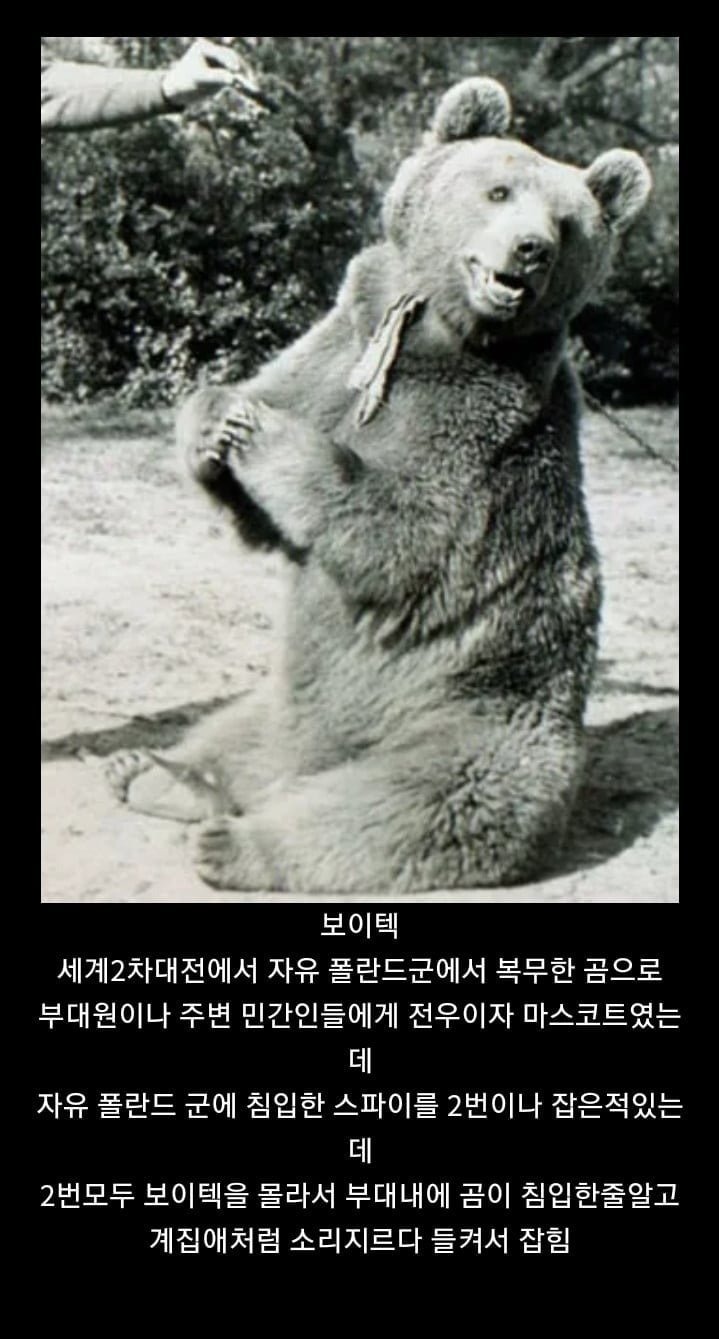 모르면 간첩의 실제사례.jpg