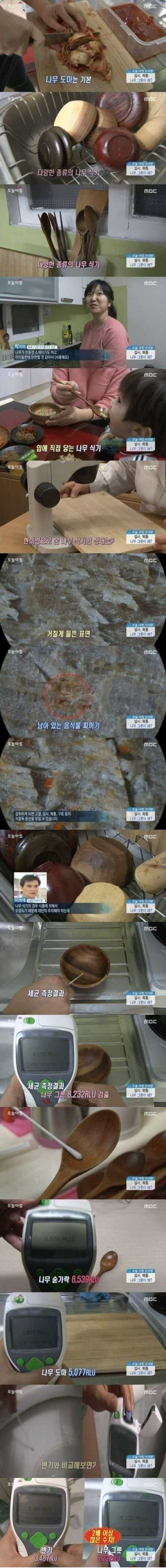 나무 식기의 현실.png