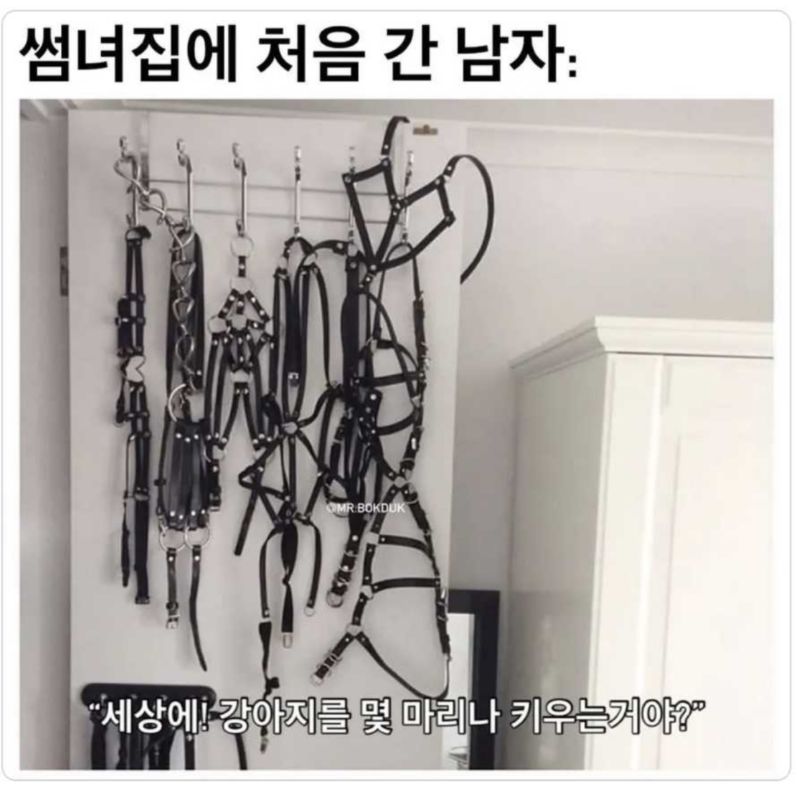 썸녀집에 처음 간 남자 .png
