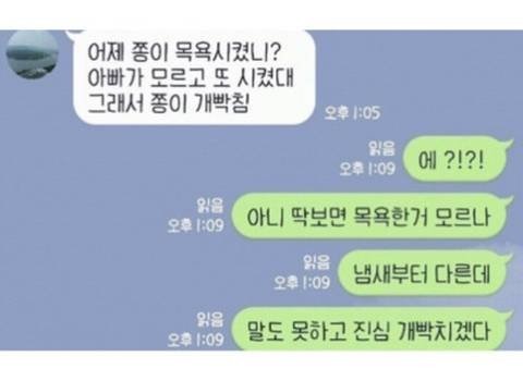 목욕 2번해서 개빡친 댕댕이.jpeg