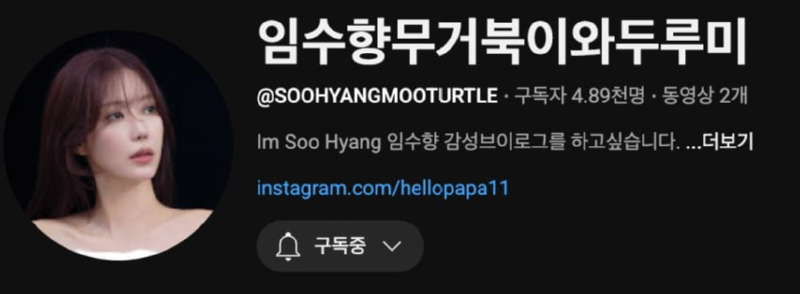 배우 임수향의 유튜브 채널명.png