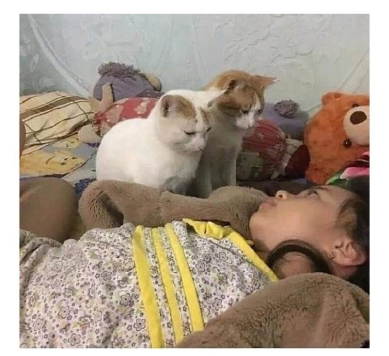일어나 밥줘.jpg