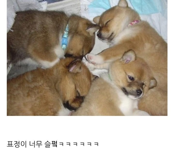 아.. 자취방에 친구들 괜히 부름.jpg
