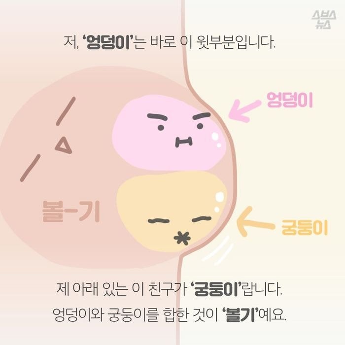 엉덩이와 궁둥이의 차이.jpeg