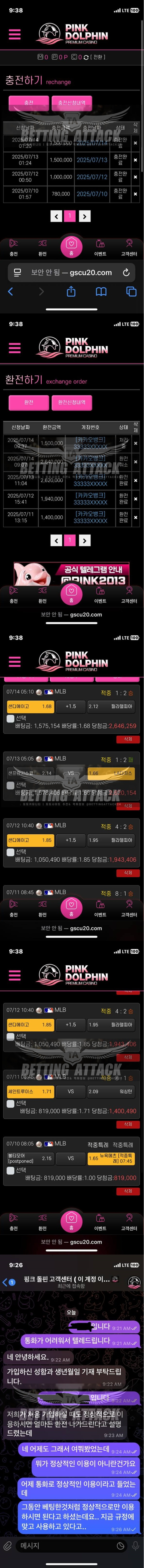 핑크돌핀.png