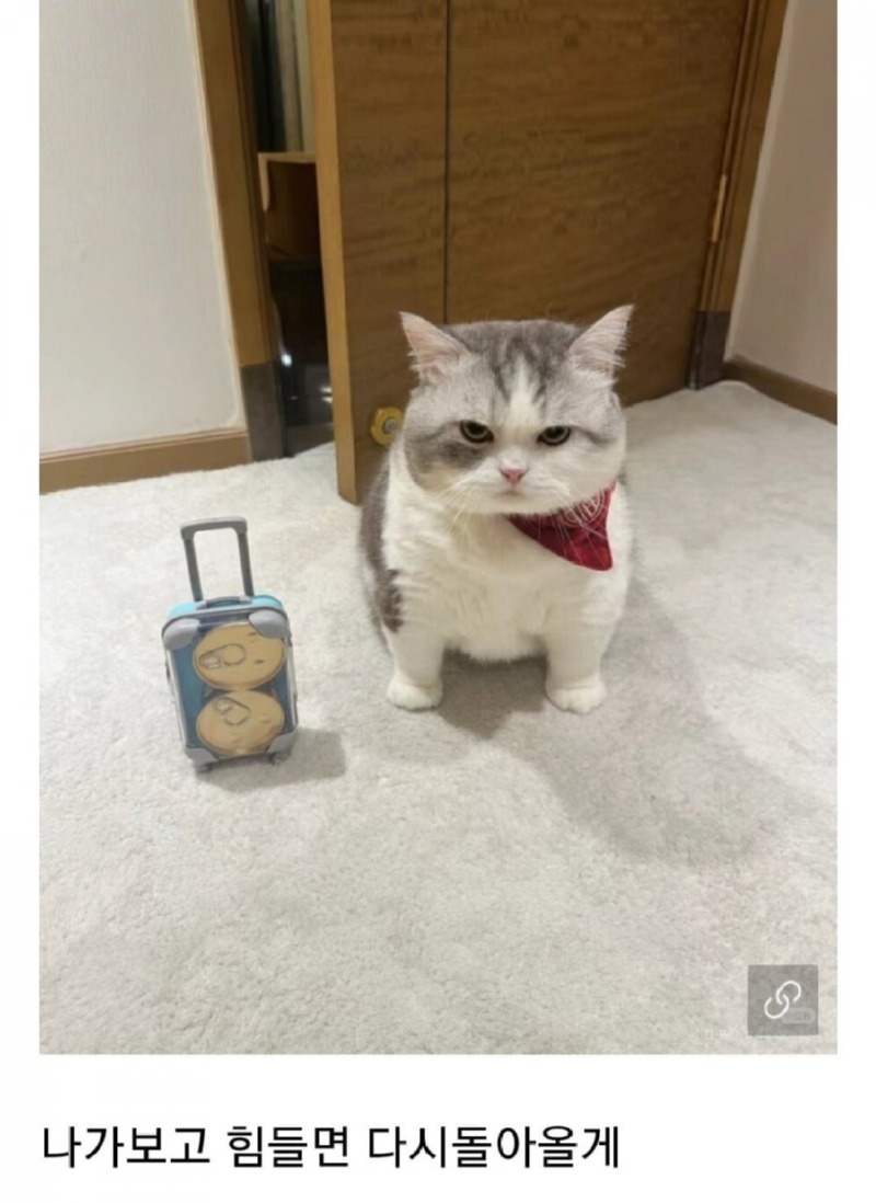 집사야 함께해서 더러웠다.jpg