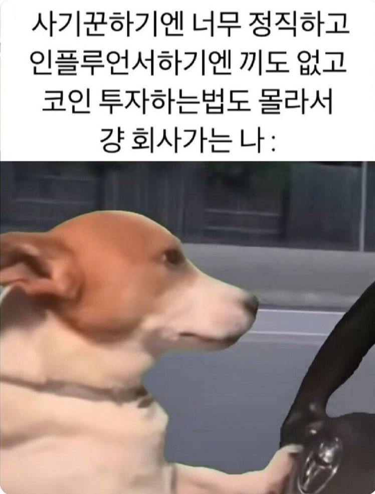 대부분의 직장인들 특.png
