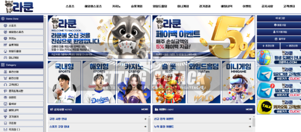 라쿤.png