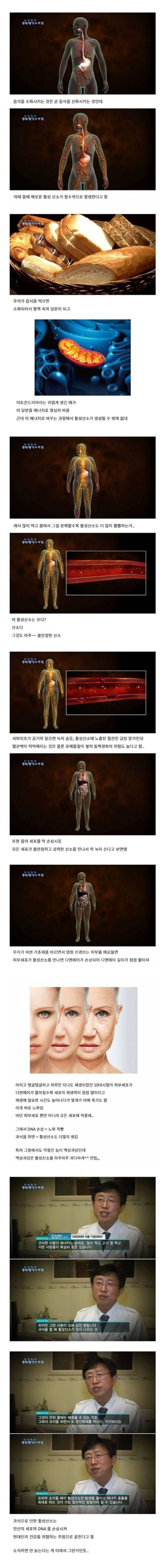 과식이 노화 부스터인 이유.jpg