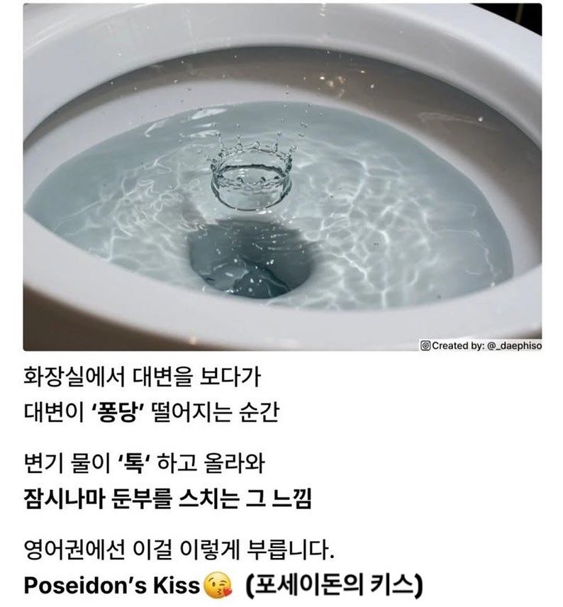 btd9e6d038df73a9decf9ced2e7919a88e.jpg
