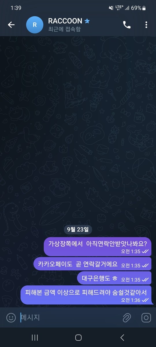 라쿤.jpg
