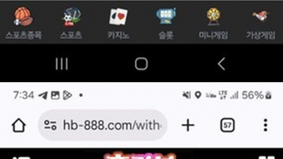 홈런볼 먹튀 확정