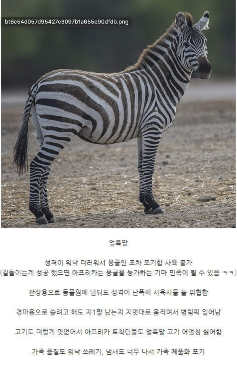 스크린샷 2025-09-29 오후 10.59.06.png