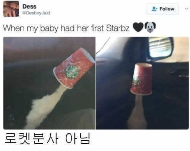 스크린샷 2025-09-29 오후 11.00.15.png