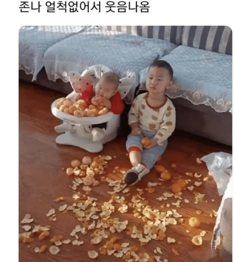 스크린샷 2025-10-03 오전 7.47.35.png